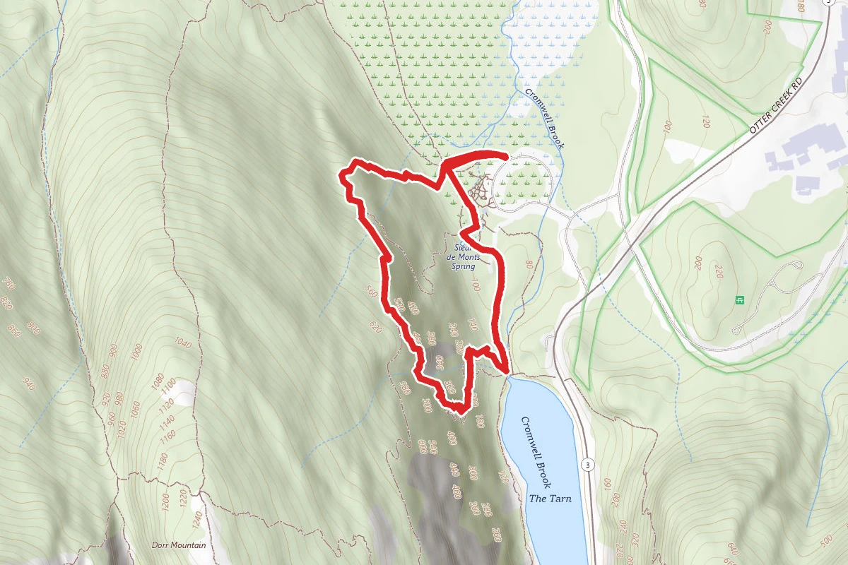 Homan Path loop