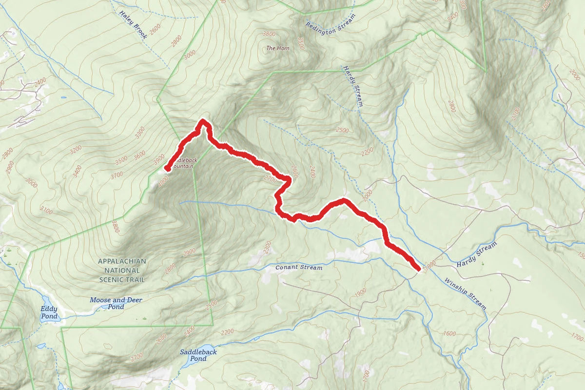 Berry Picker's Trail to Saddleback Mountain