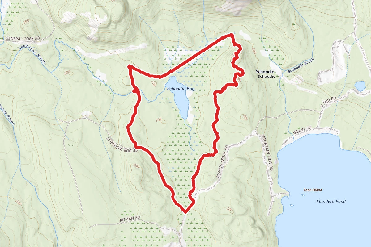 Schoodic Bog Loop
