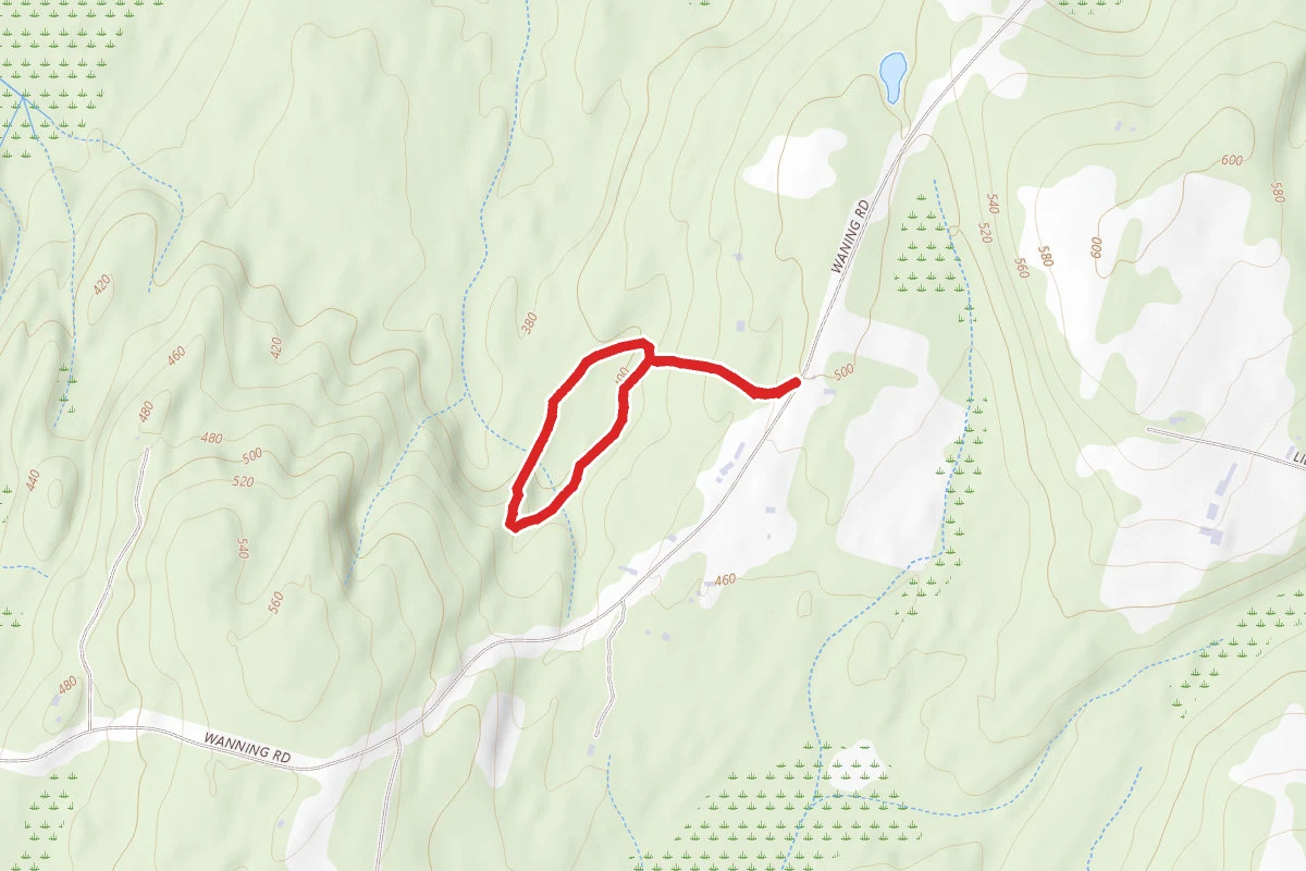 Carlson Woods Loop
