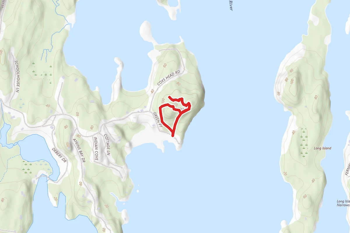 Cox's Head