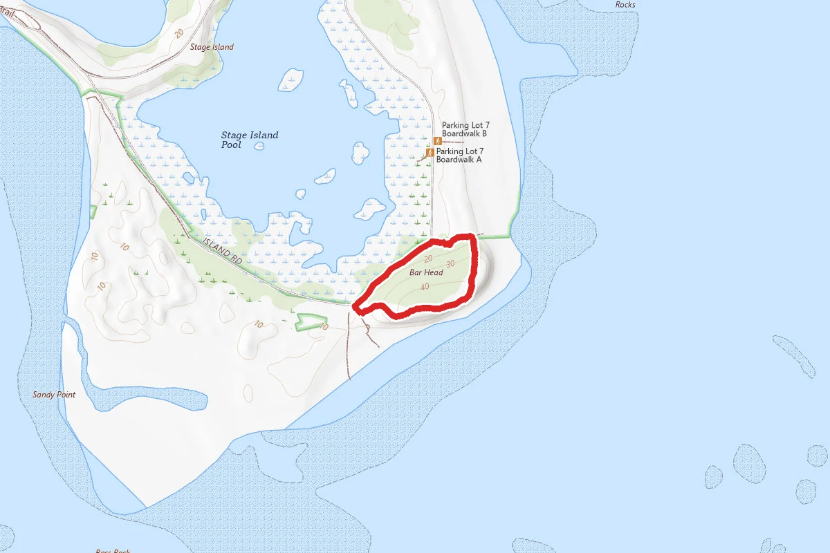 Bar Head Trail