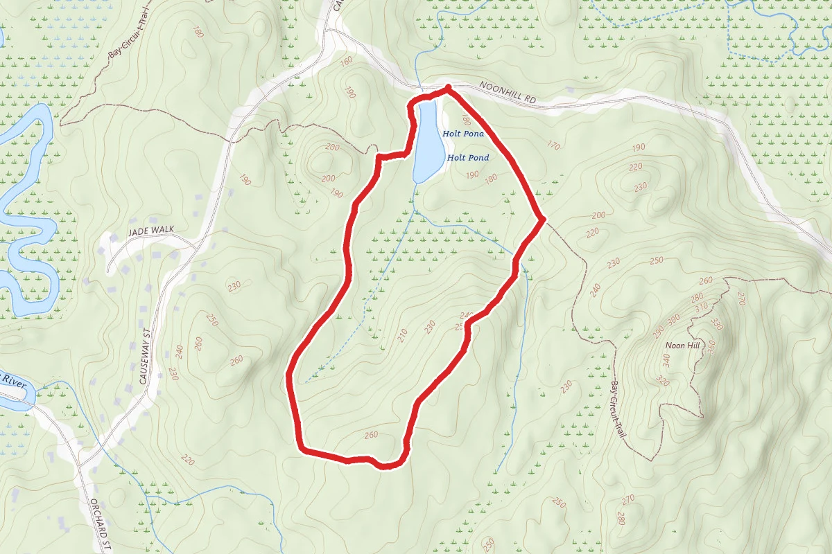 Holt Pond Big Loop