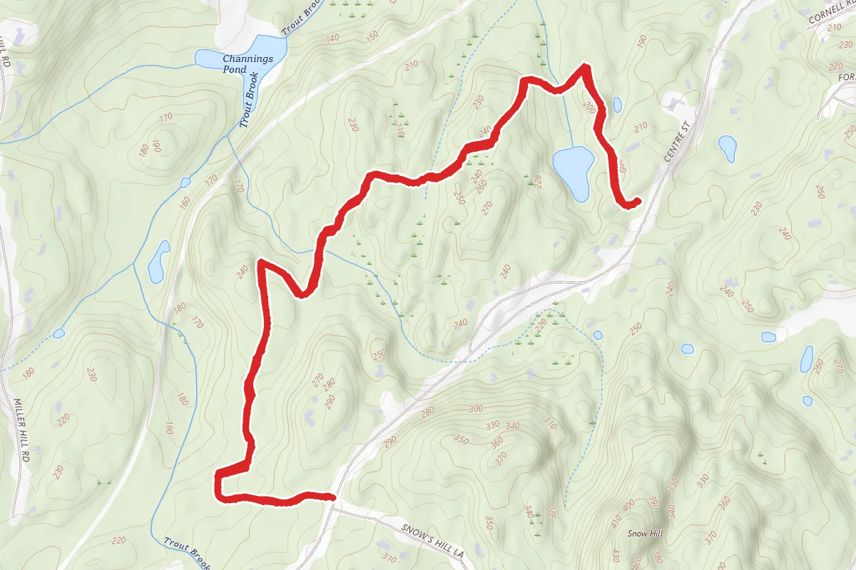 Wylde Woods Blue Trail