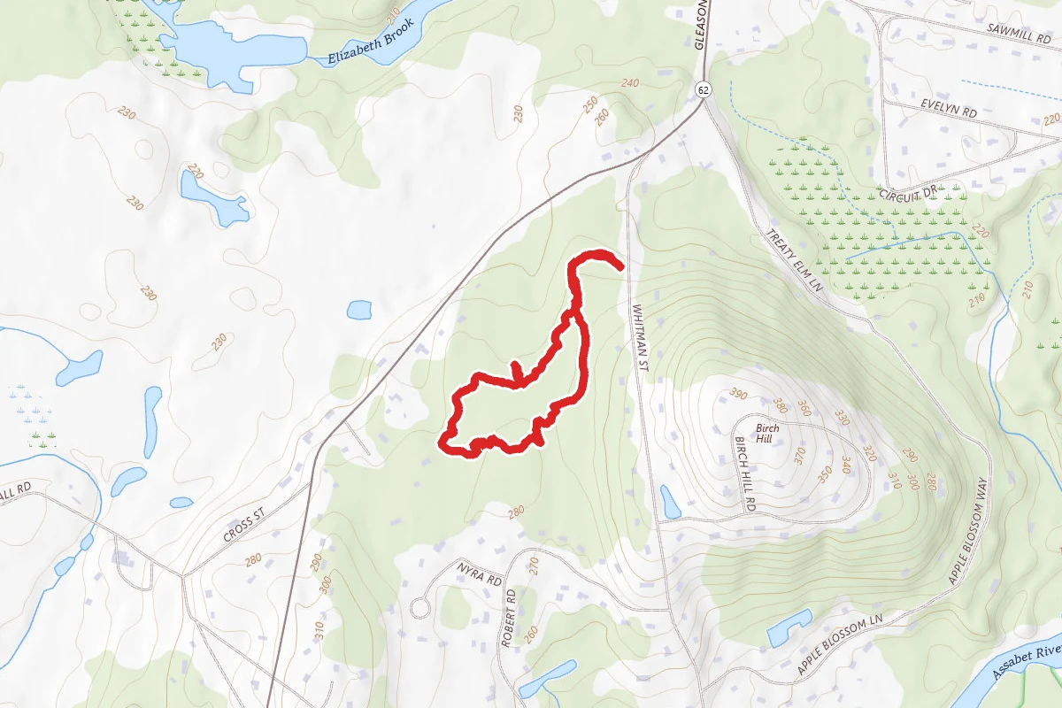 Woodland Nature Loop
