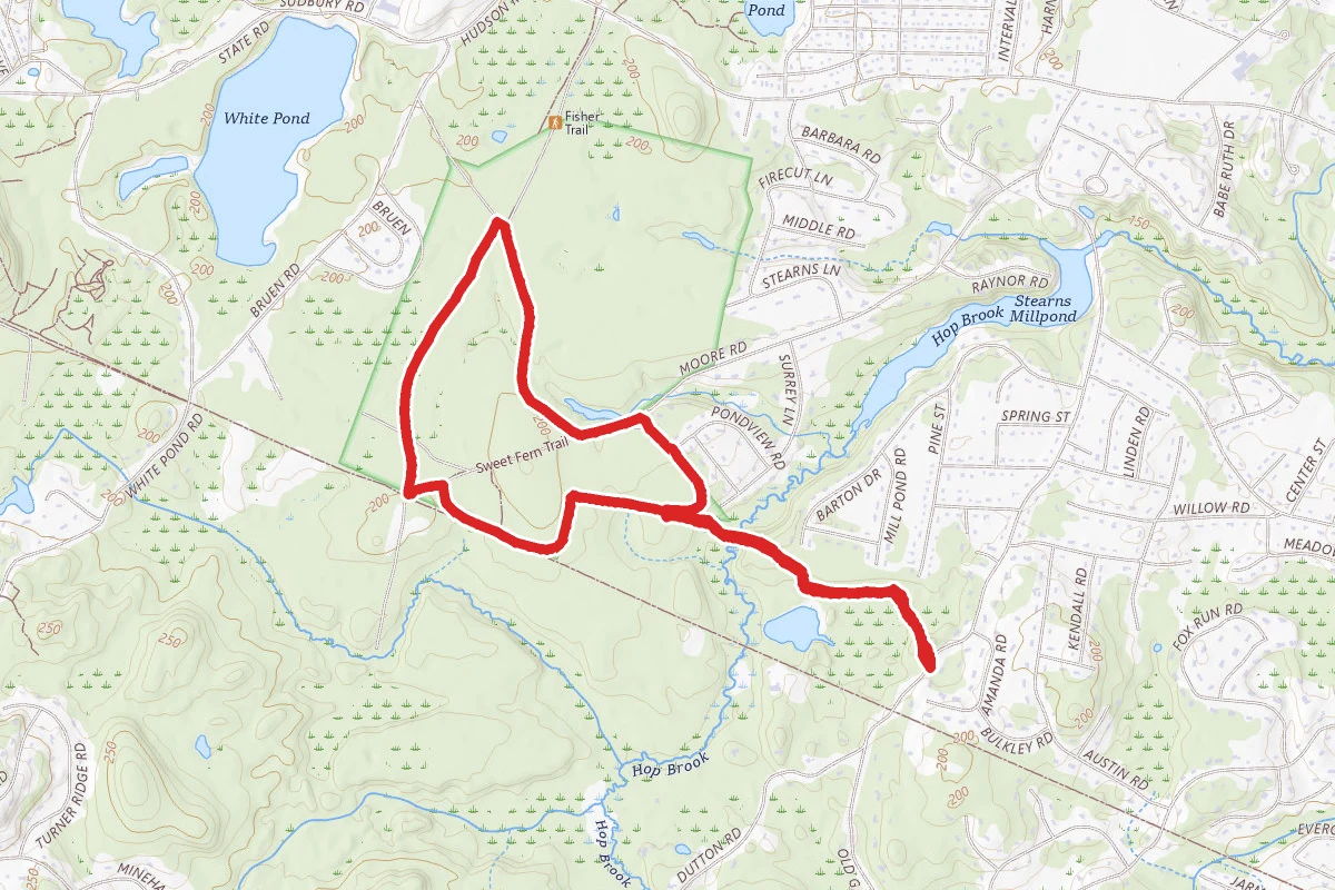 Fischer Loop Trail