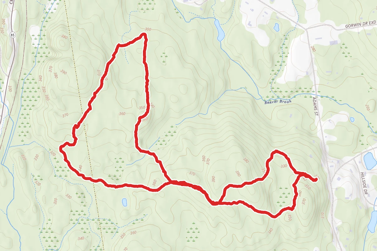 Holliston Town Forest Loop