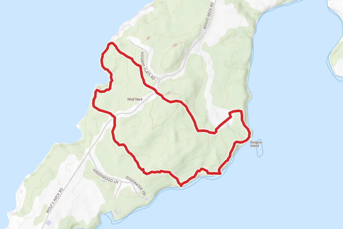 Harraseeket and White Pines Trail Loop