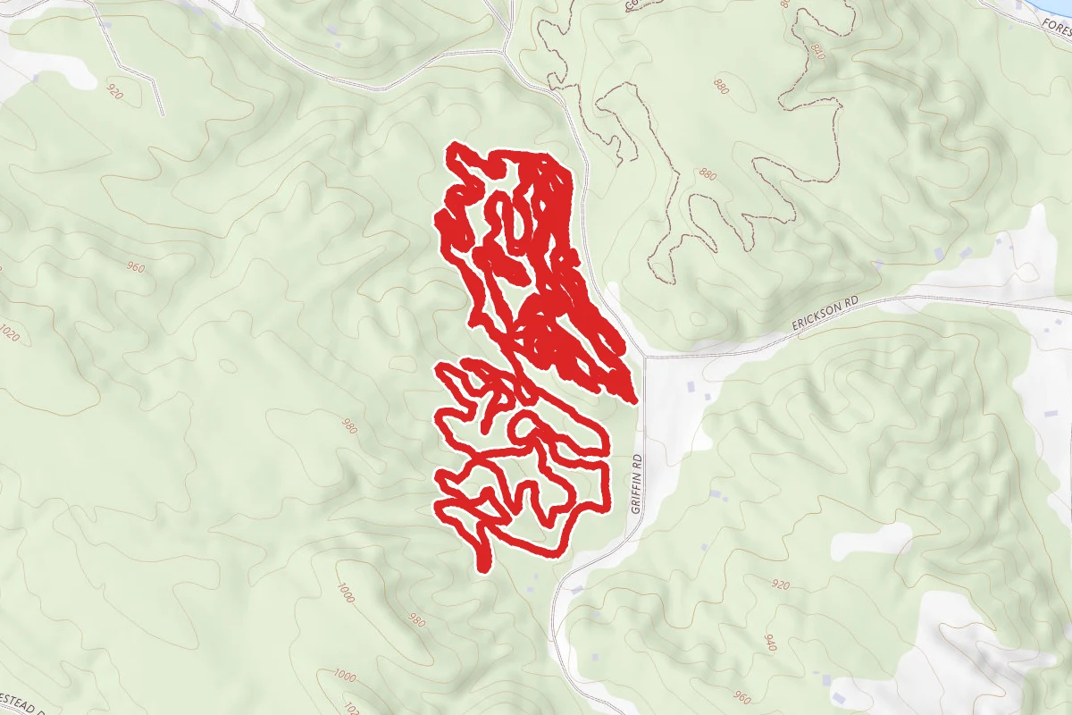 Boyne School Forest Trail