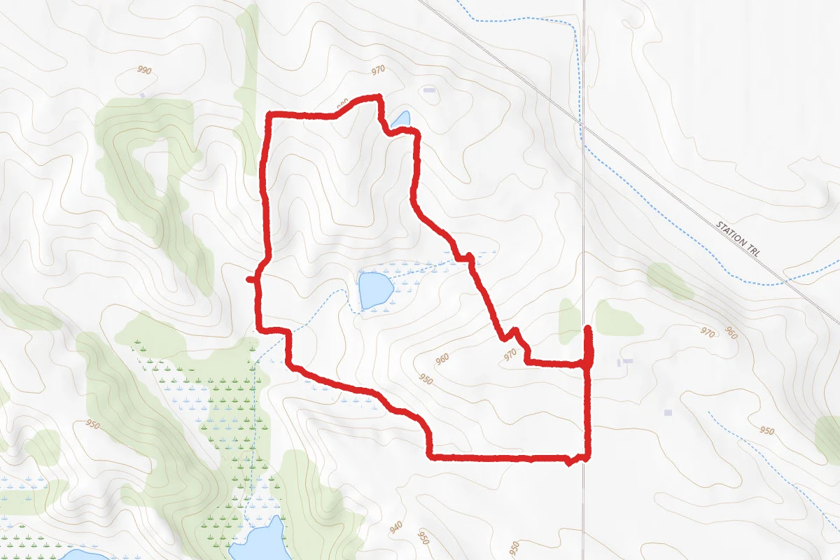Lone Track Trail Loop