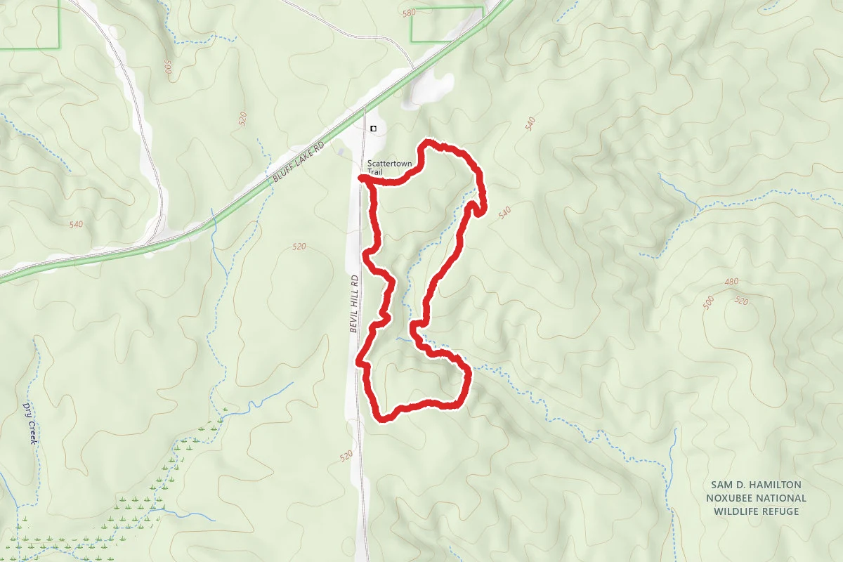 Scattertown Trail