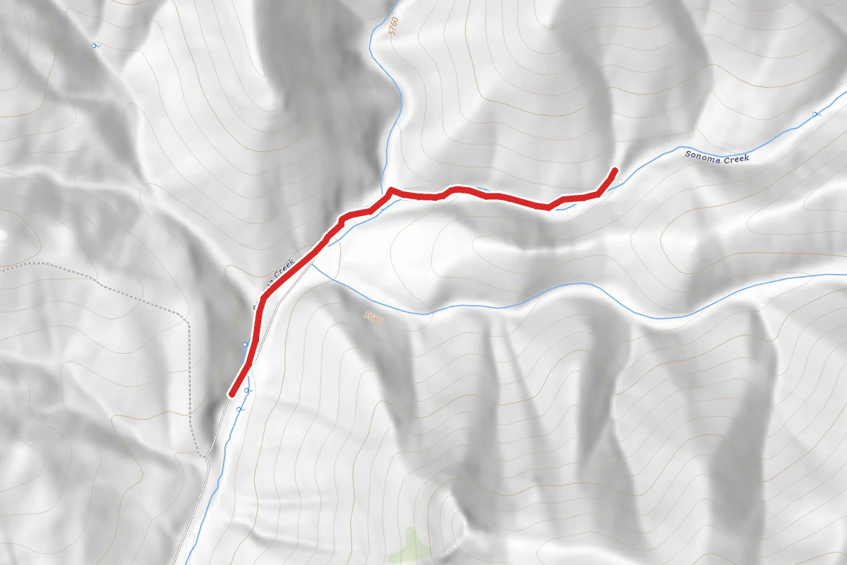Sonoma Creek