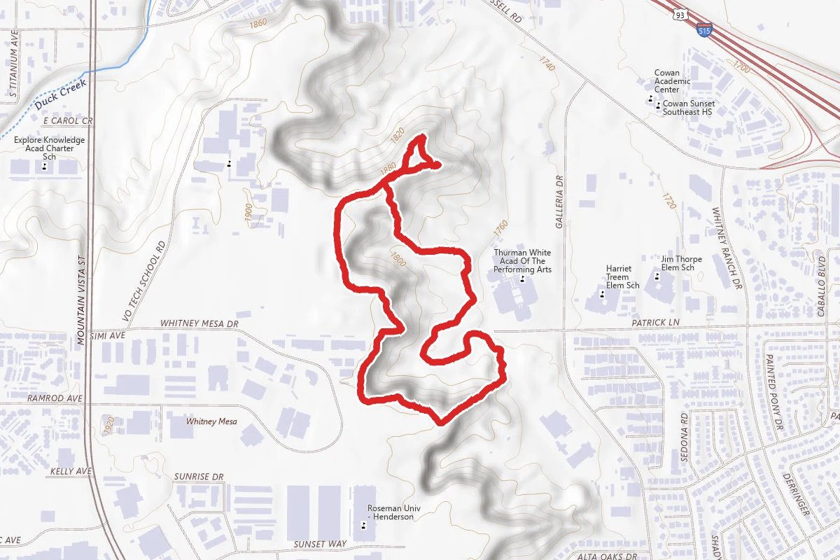 Ocotillo Trail