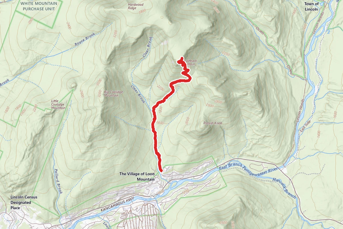 Whaleback Mountain Snowshoe Route