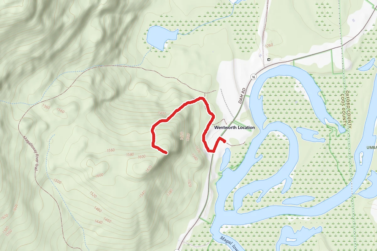 Big Island State Forest Roost Trail