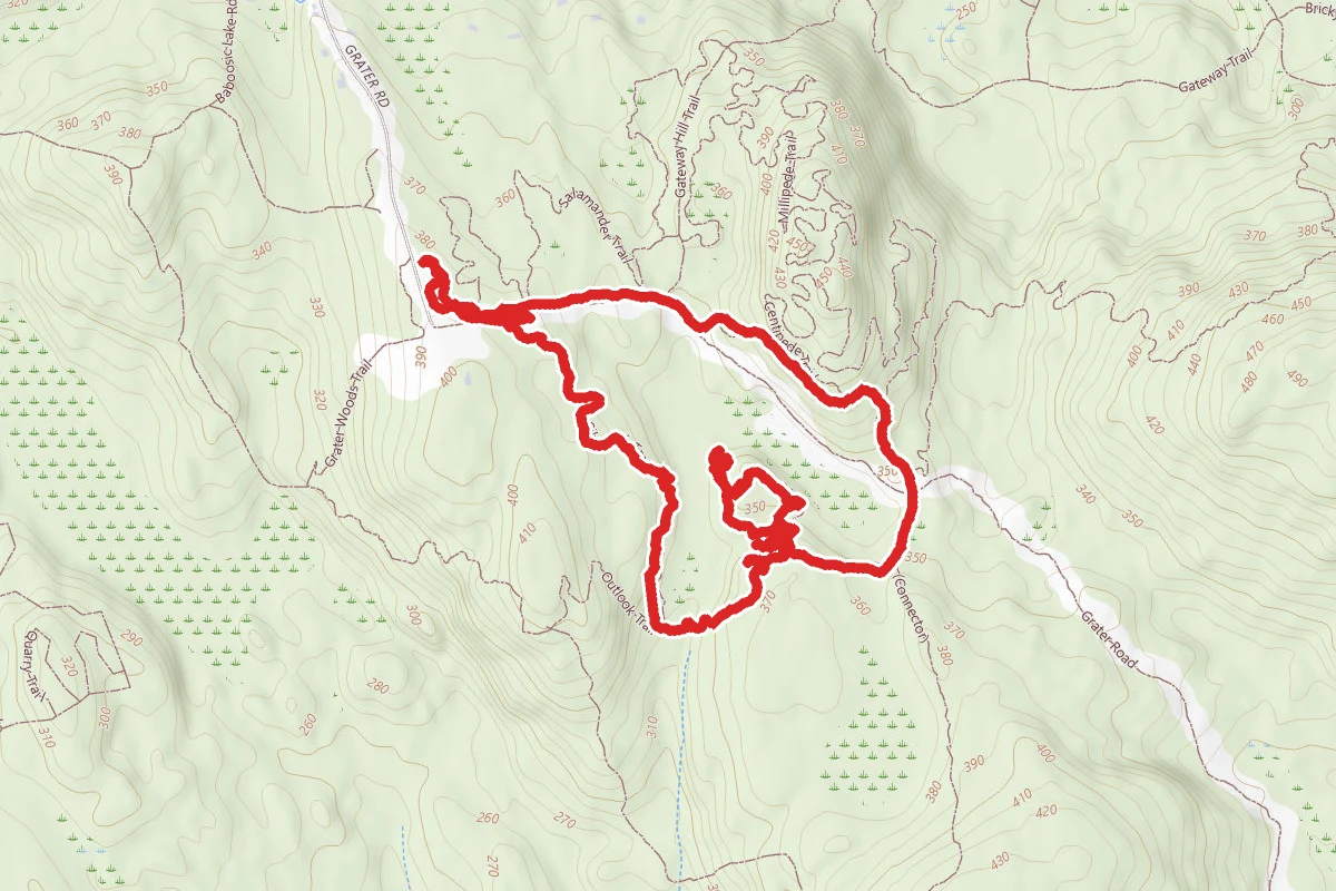Silverfish Loop