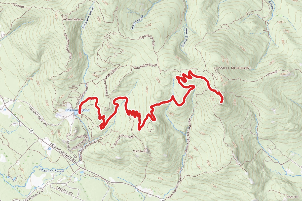 Black Snout Mountain