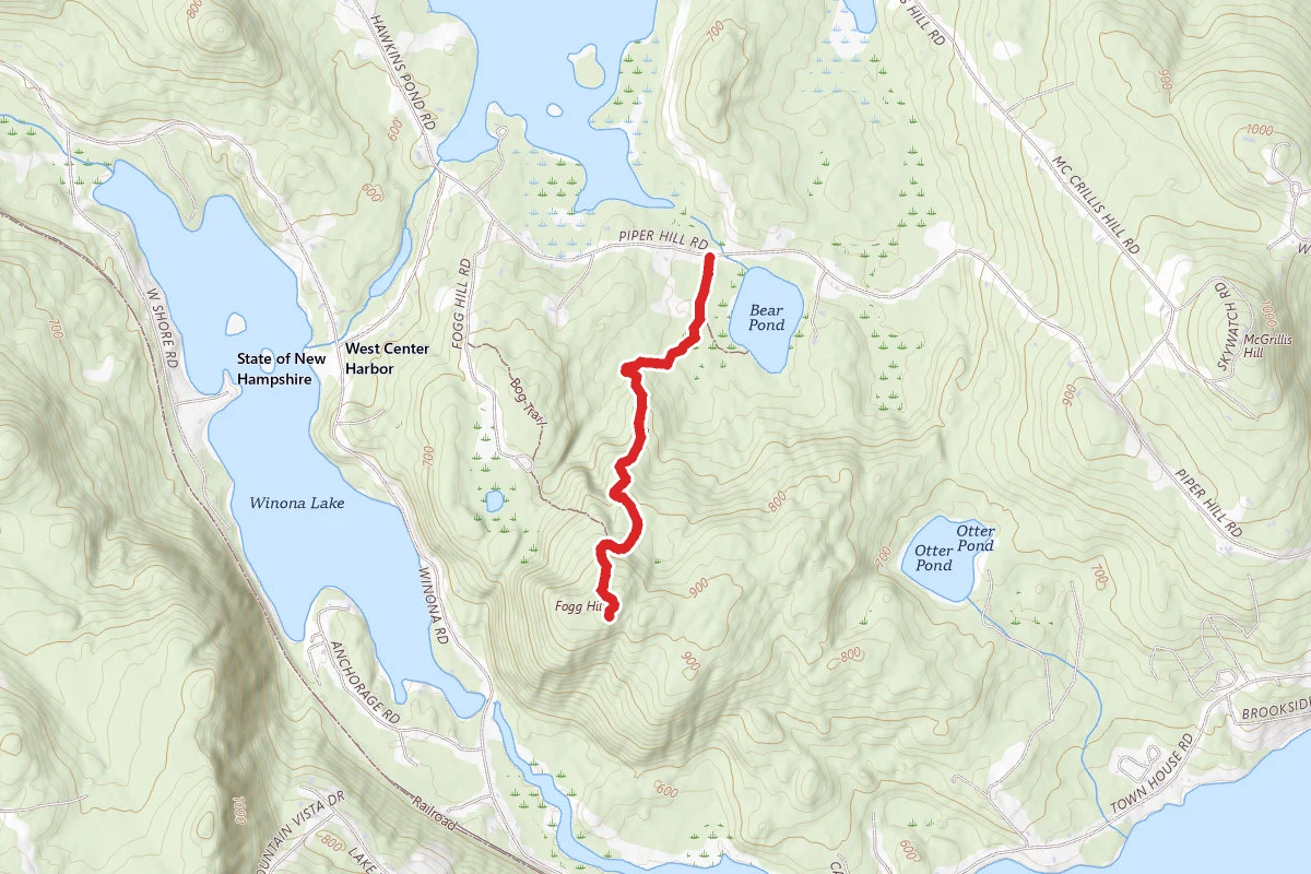 Fogg Hill Trail