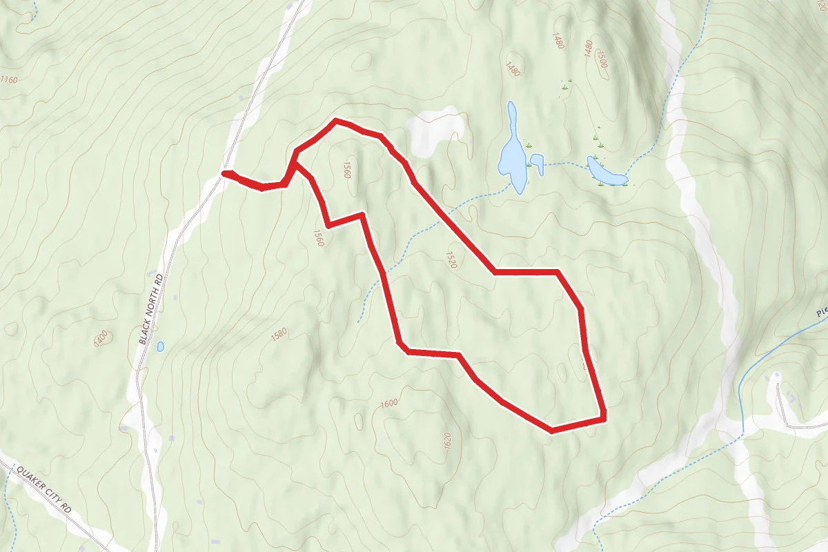 Black North WMA
