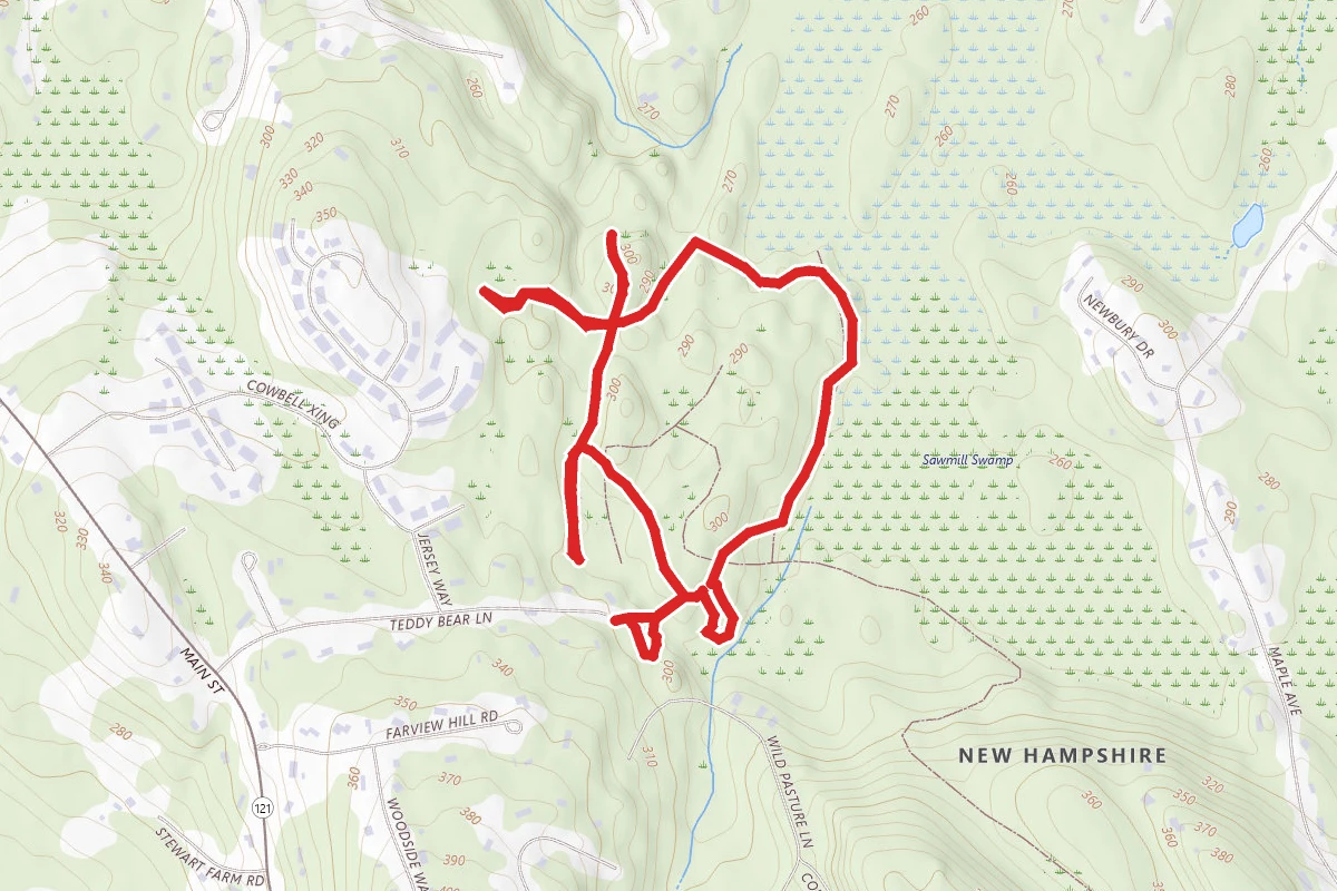 ACL North Sawmill Swamp Trail Loop