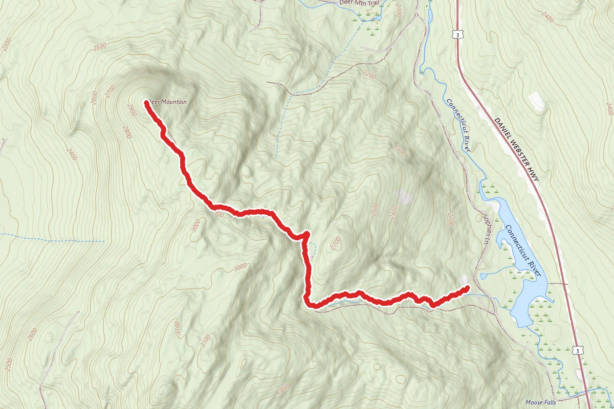 Deer Mountain Fire Tower Trail