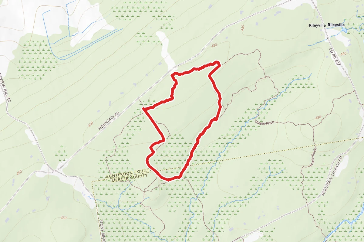 Northern Stony Brook Yellow Loop