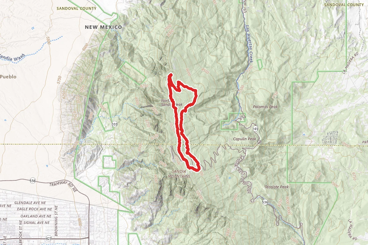 10K #200 and Ellis #202 Trail Loop