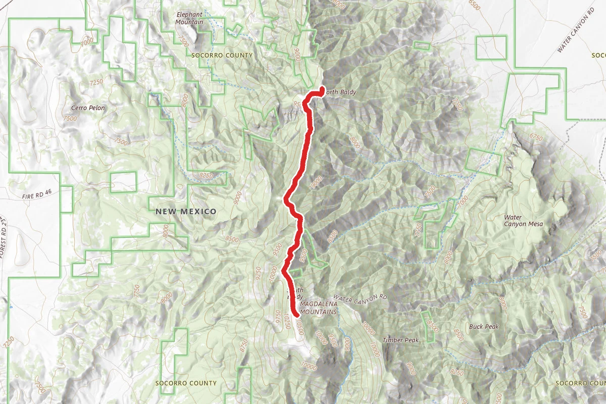 North Baldy Trail