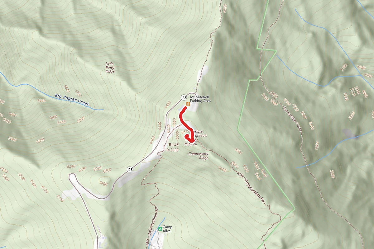 Mount Mitchell Summit Trail