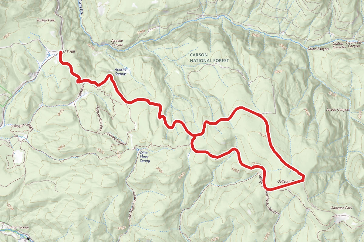 Gallegos Peak via NM 518