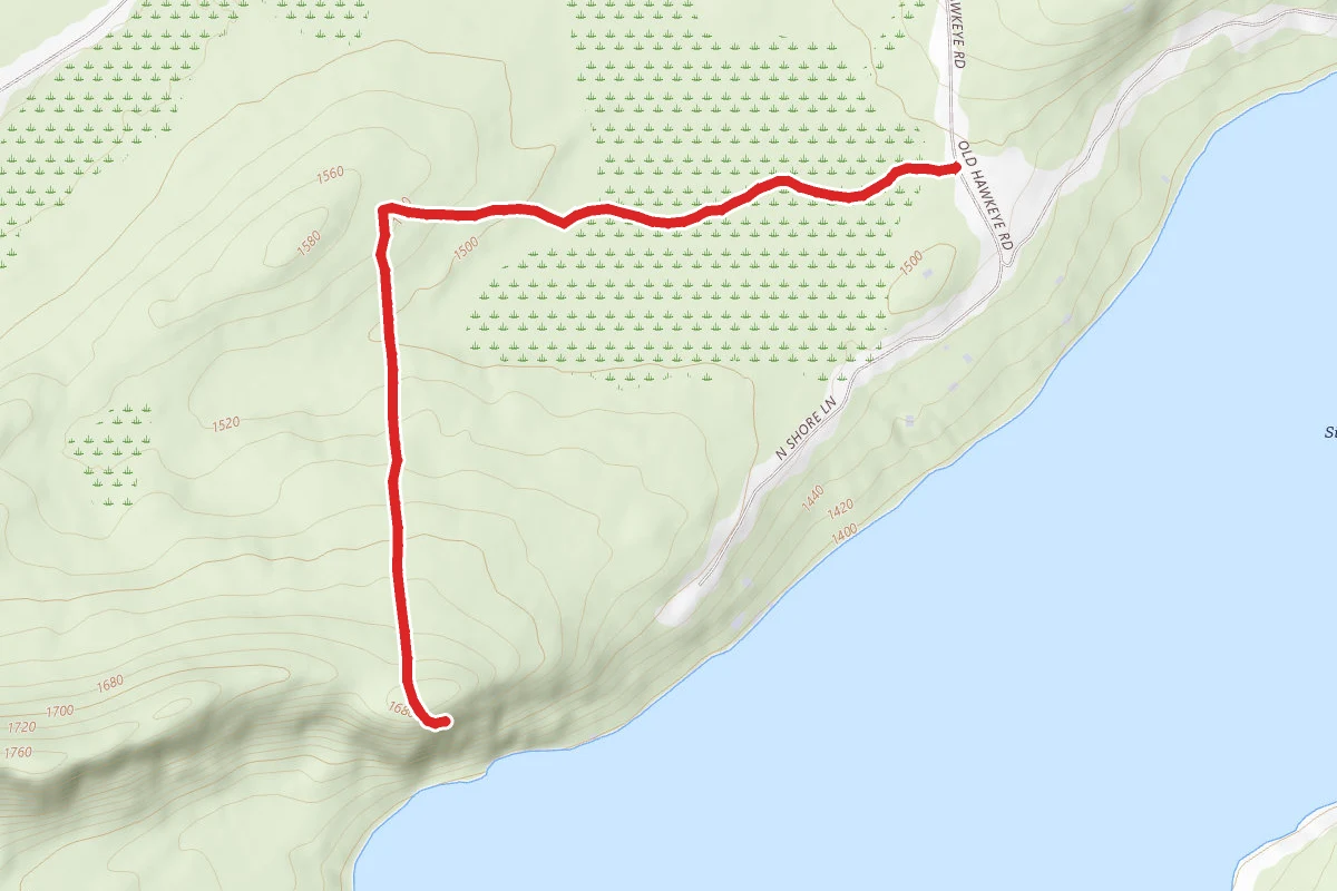 Silver Lake Bog Preserve Trail