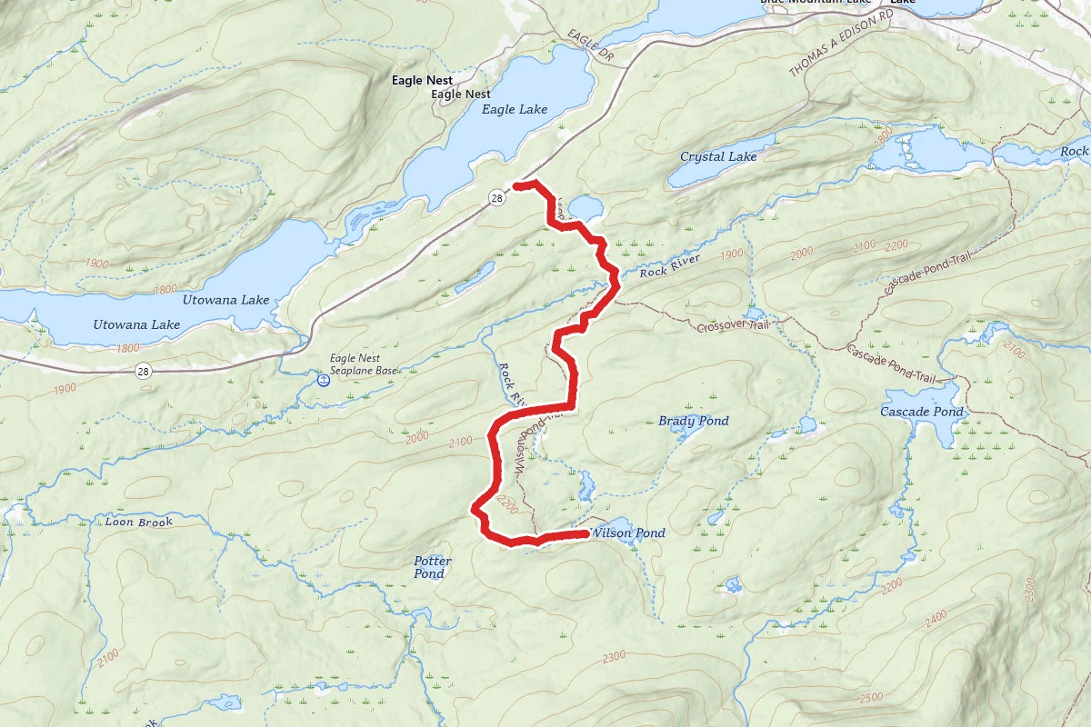 Wilson Pond Trail