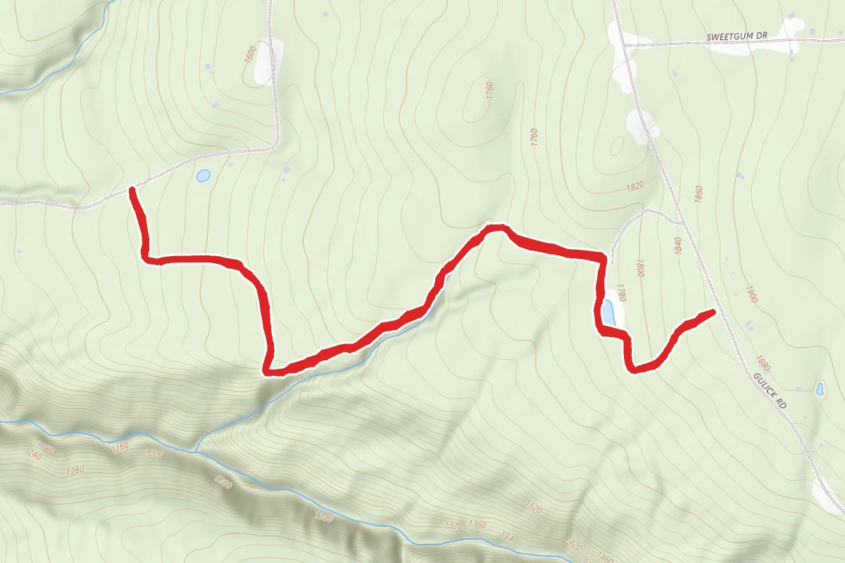 Gully Overlook Trail
