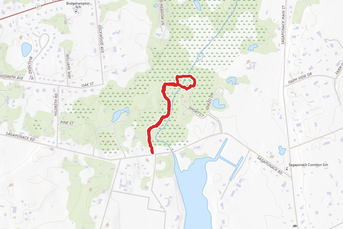 Sag Swamp Preserve Trail