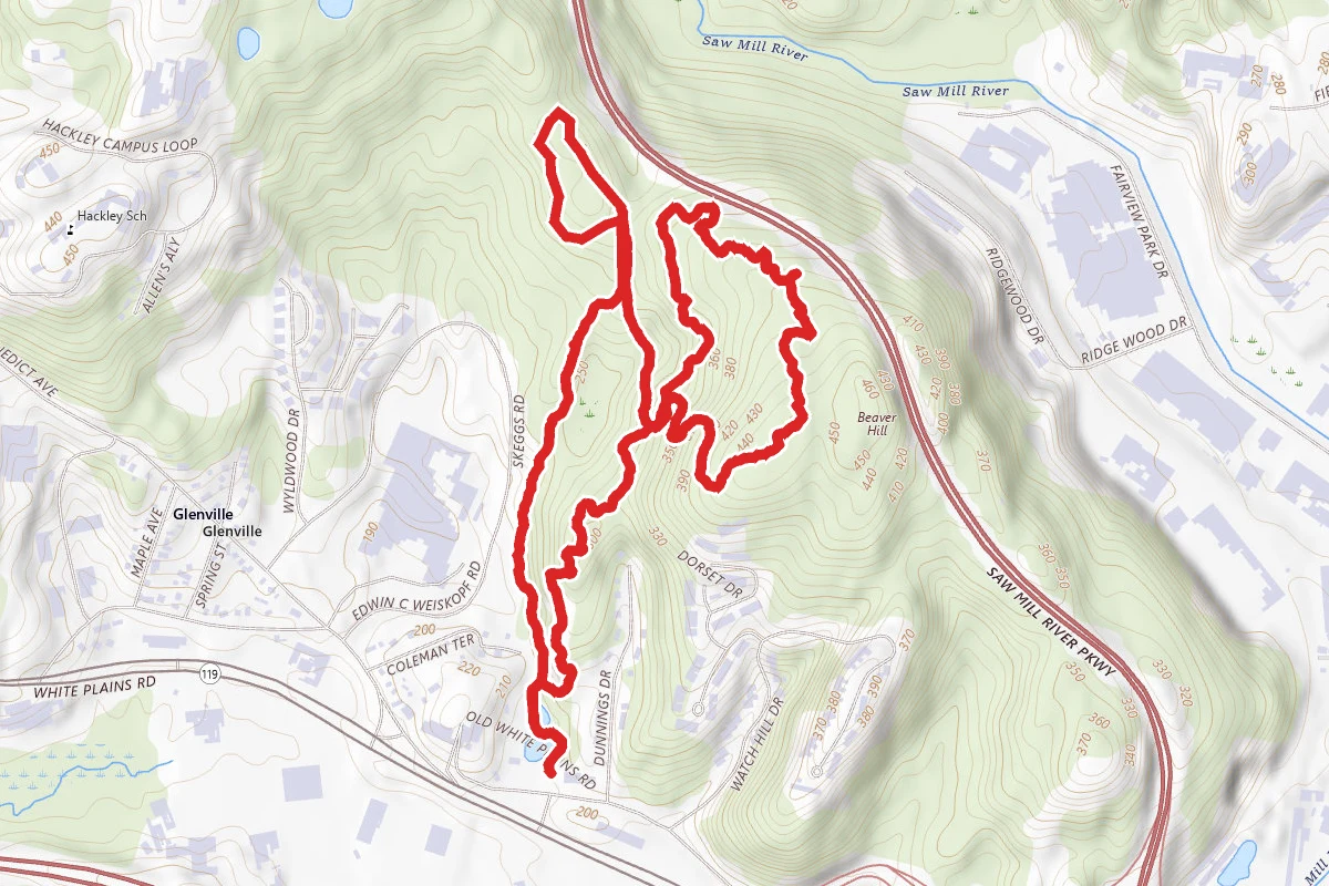 Glenville Woods Loop