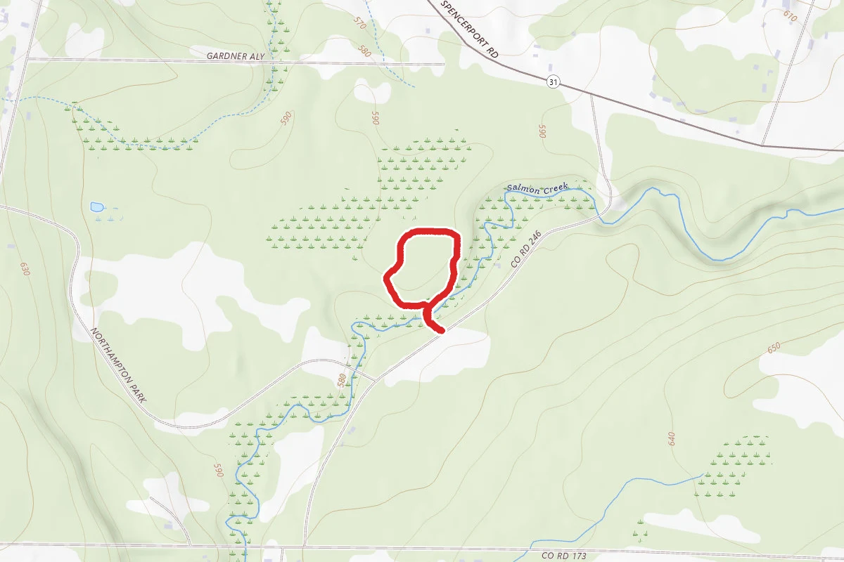 Northampton Park Nature Loop