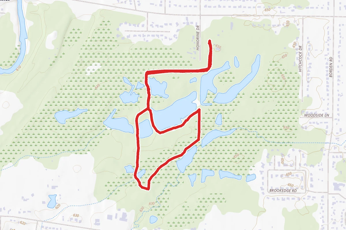 History and Beechtree Trail