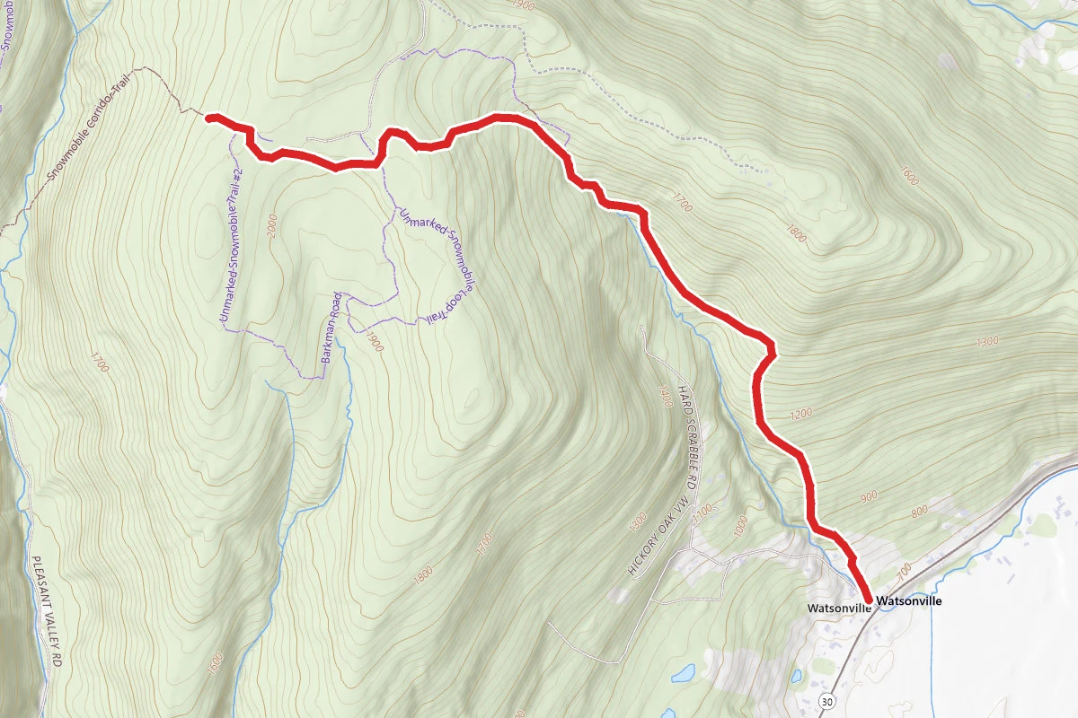 Patria Forest Long Path