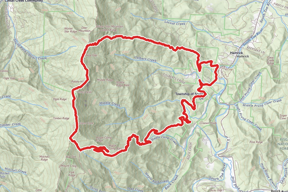 Colbert Ridge to Big Tom Spur to Buncombe Horse Trail Loop