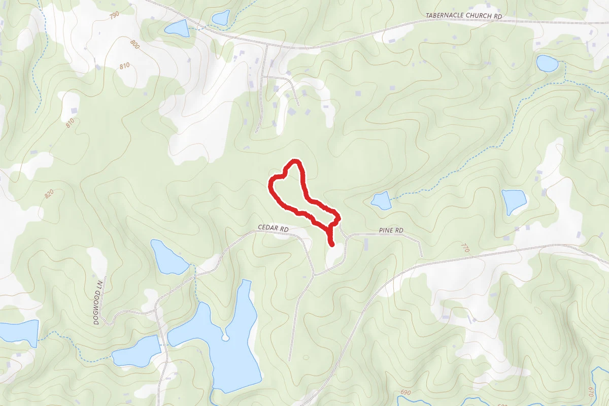 Ridge Trail Spur