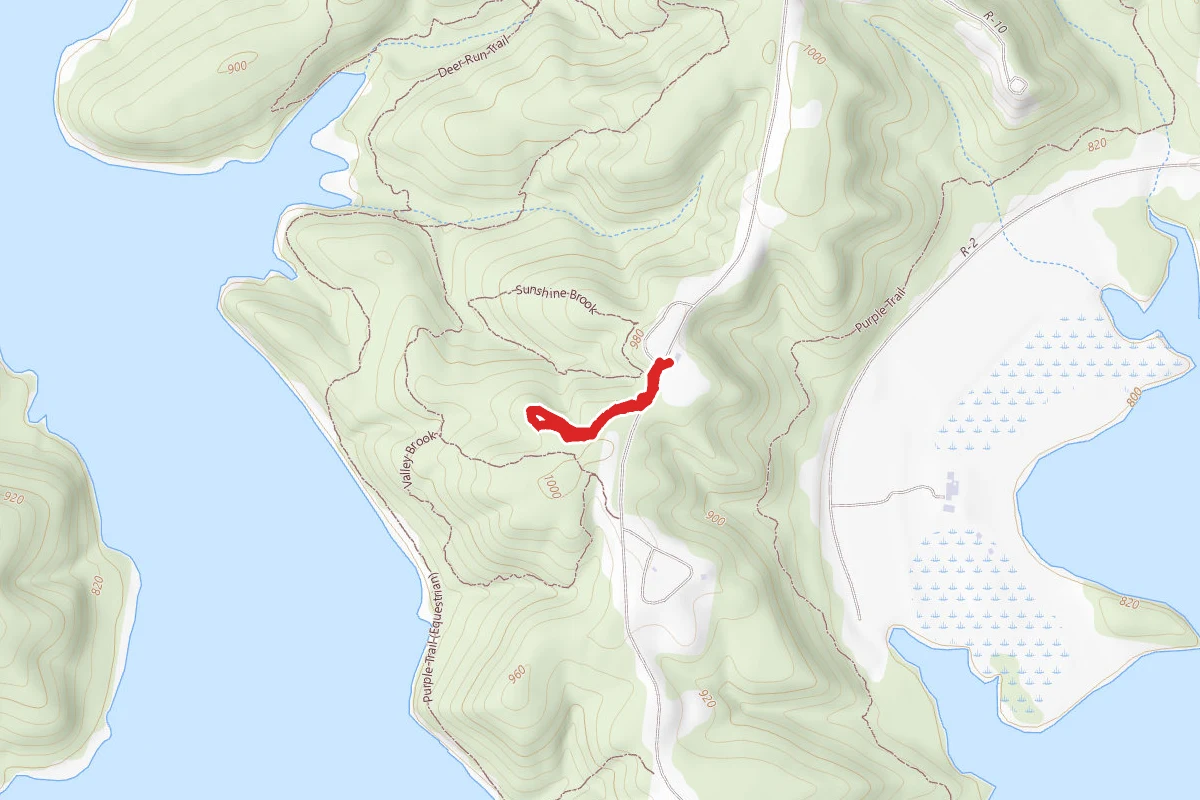 Forest Crest Trail