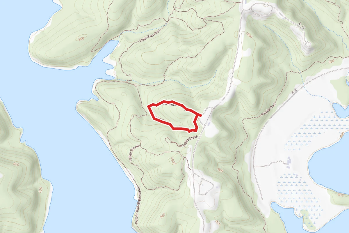 Sunshine Brook Trail