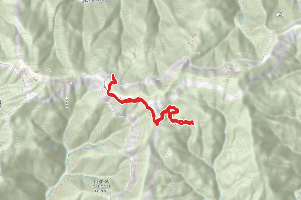 The Bombsite Trail #1118