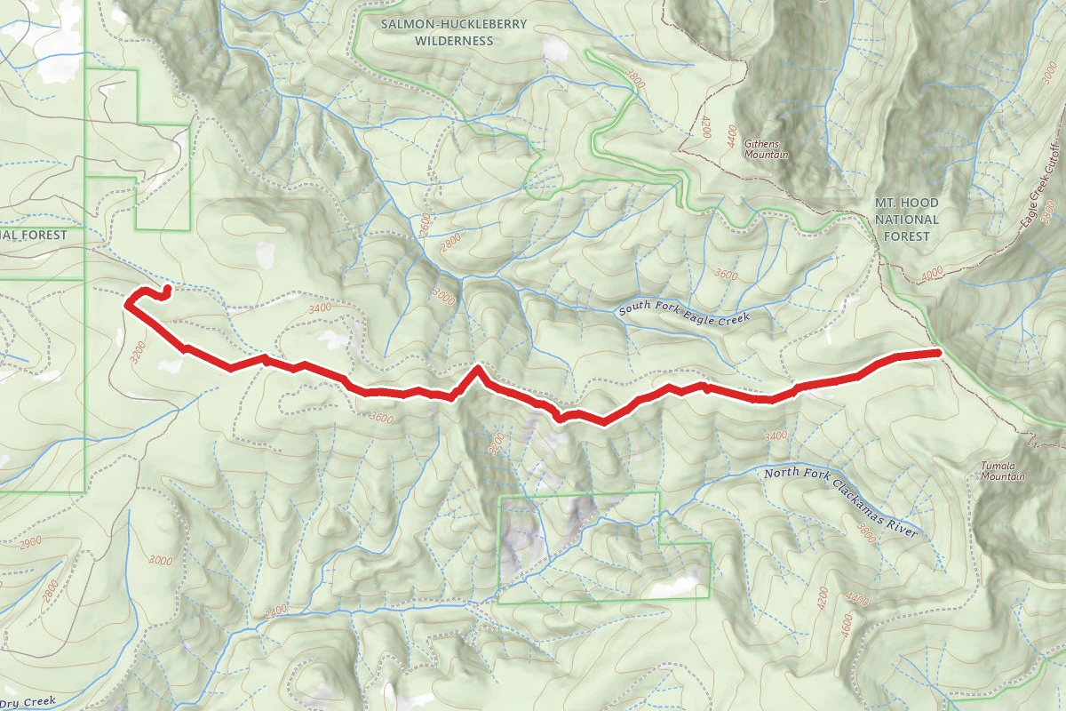 Fanton Trail #505