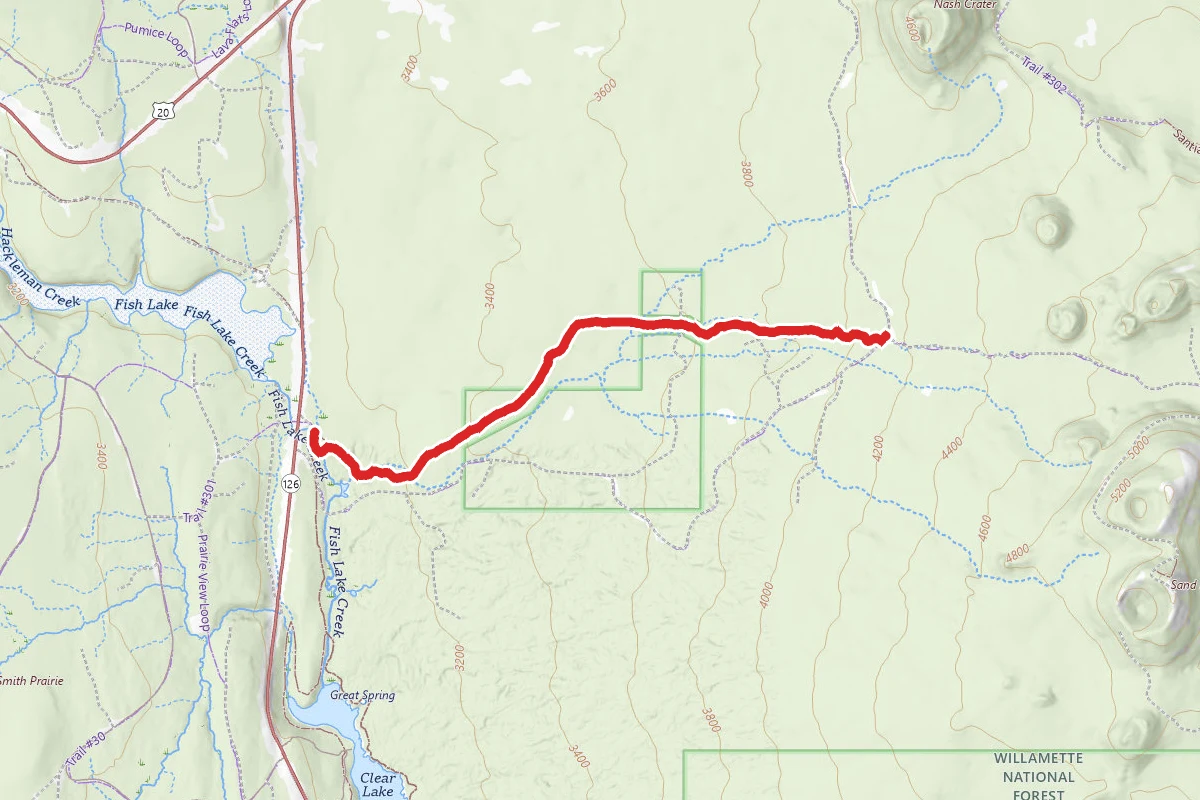 Santiam Wagon Road Trail from McKenzie Highway