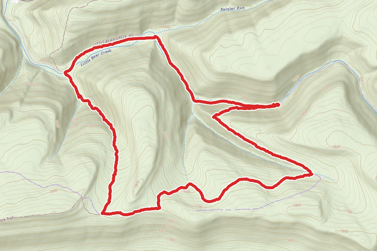 Loyalsock Trail to Little Bear Road Loop