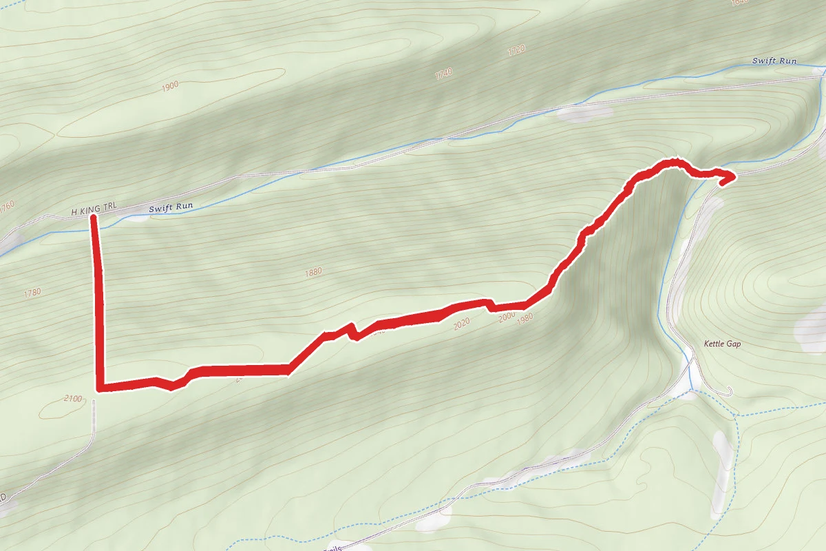 Tall Timbers and Thick Mountain Trails