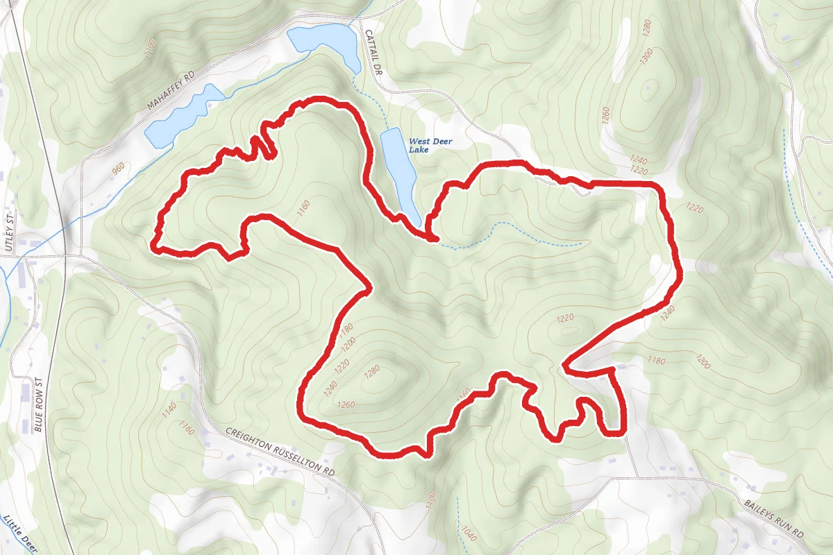 Deer Lakes White and Yellow Trail Loop