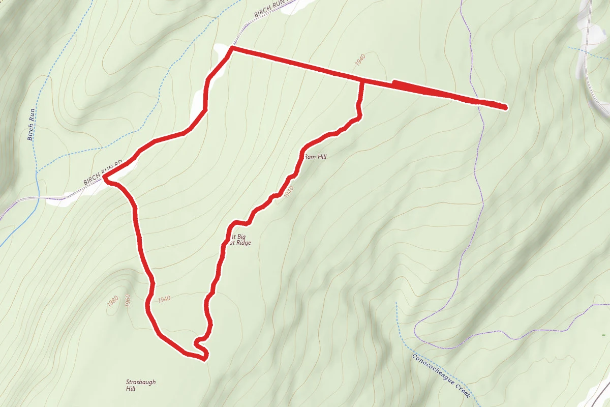 Birch Run Road and Ant Hill Loop