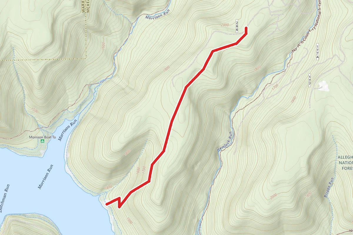 Kinzua Run Trail